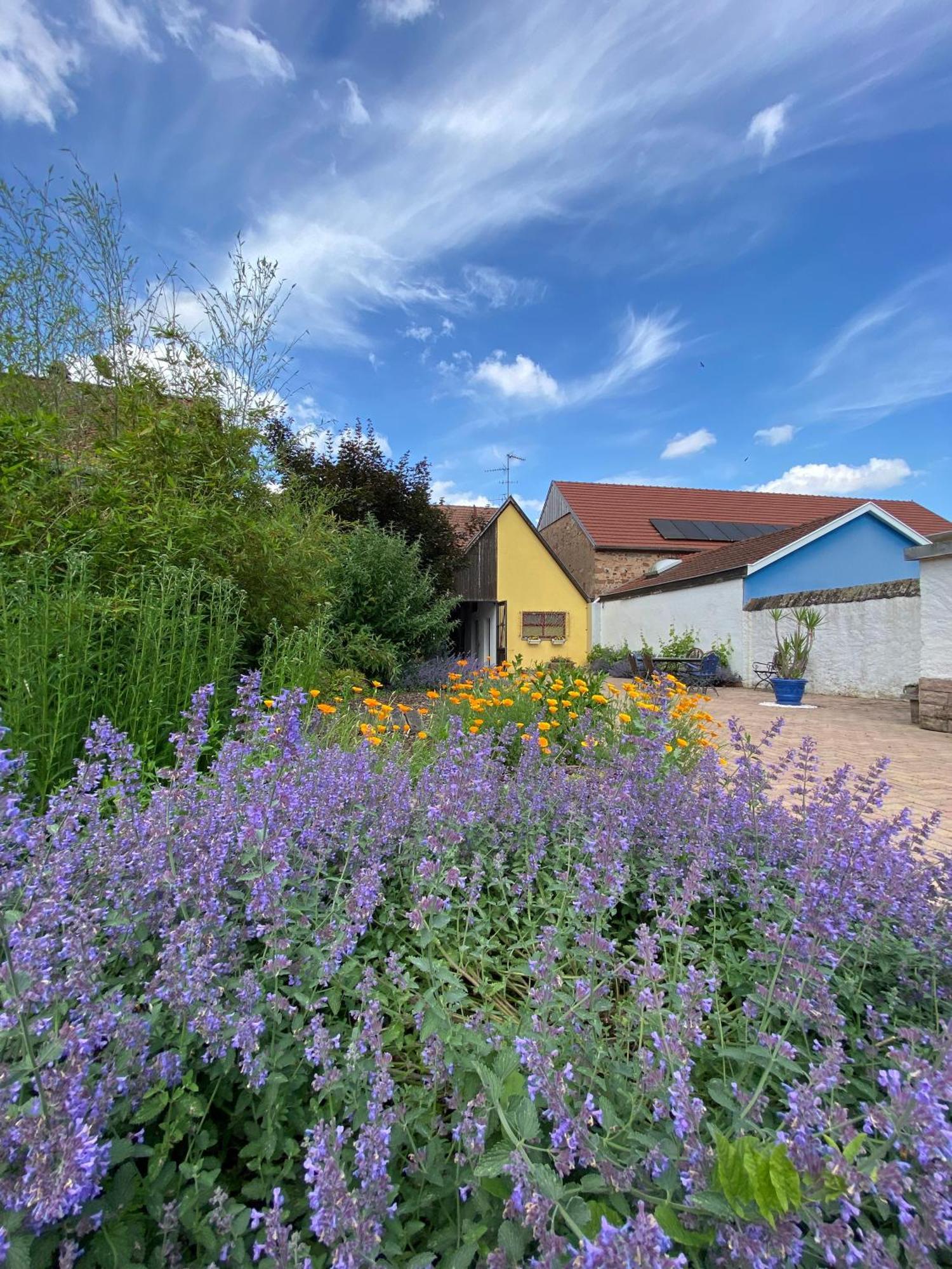 Relais Du Dompeter Bed and Breakfast Molsheim Buitenkant foto