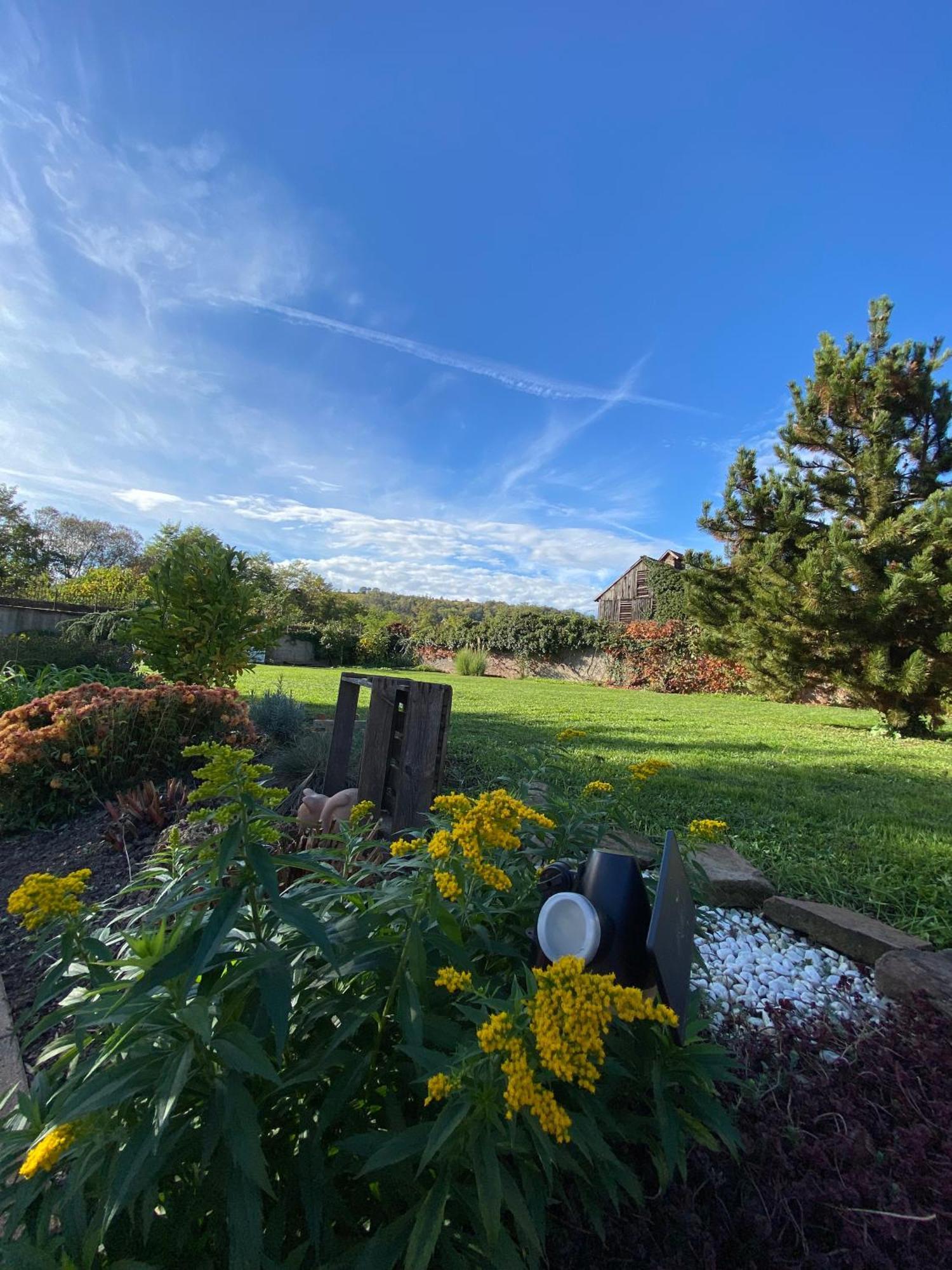 Relais Du Dompeter Bed and Breakfast Molsheim Buitenkant foto